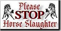 Stop Horse Slaughter