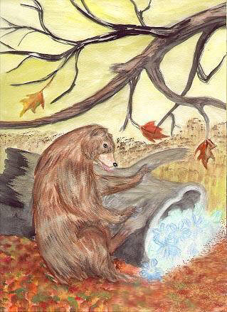 Brown Bear - Harvest Moon