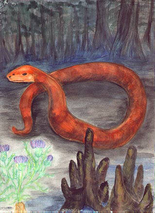 Snake - Freeze Up Moon