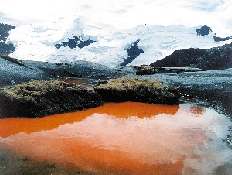 Apolobamba Cordillera, Bolivia,
red algae in pond.
Bolivian Times is temporarily 
offline. See note at the link.