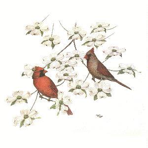 Cardinals and Dogwood 
  Prints or Original Paintings by Webb Garrison - Song Birds