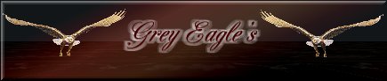Grey Eagle, of Ojibway descent,   
has an excellent site with Genealogy help