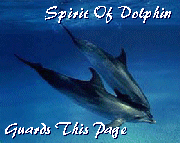 Animal Spirit Guides 
There may be one for  you. 
Check it out.